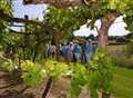 Vineyard tours