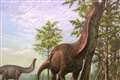 Sauropod dinosaurs preferred warmer regions of Earth, study suggests