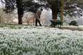 Spring? Get set for snow, a 10C temperature drop, and a month’s worth of rain