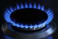 Slashing VAT would not necessarily cut fuel bills, says Downing Street