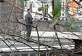 Station roof protester is sentenced