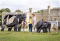 Explore Kent’s animal-themed sculpture trail