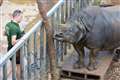 Staff at UK’s largest zoo measure 10,000 animals in their annual weigh-in