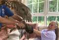 Carer's lifelong fear of birds cured by owl