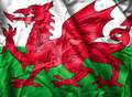 Kent's Welsh community celebrates