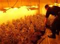 Cannabis growers flee ahead of police swoop