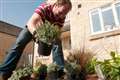 UK’s front gardens have got greener in the past five years, survey suggests