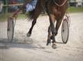 Horse dies after harness race