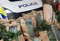 Police make huge cannabis find