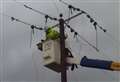 Vandals damage telegraph poles in crime spree