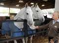 Hearses up for sale at auction