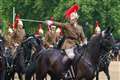 Furry mascot in attendance at final Trooping the Colour practice