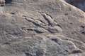 Four-year-old girl discovers dinosaur footprint on beach in Wales