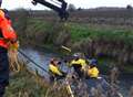 Horse rescued from water-filled ditch