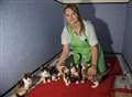 Six kittens dumped near river