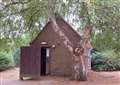 Tree blocking public loos could be felled