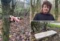 Mushroom hunter stunned by sex toy find in woods