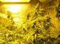 Two caught at cannabis factory