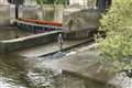 Small whale freed after becoming stranded in Thames pictured still in river