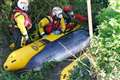 Stranded minke whale in River Thames put down