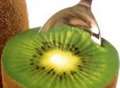 Kiwis farmed commercially