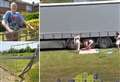 ‘Lost’ lorry crashes picnic party next to children’s play area