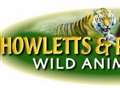 Go wild for a season at Howletts