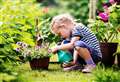 Get green fingered and help charity