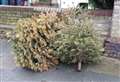 'Take your Christmas trees back in'