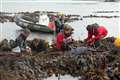 Kelp found in Atlantic Ocean ‘has survived since last ice age 16,000 years ago’