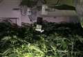 Large cannabis farm uncovered after 'suspicious activity'