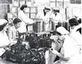 Women assemble gas masks during the war