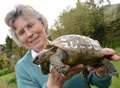 Owner shell-shocked as missing tortoise turns up a year on