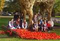 Poppies adorn magnificent war horse installation