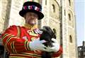 Tower of London Ravenmaster mourns loss of 'queen raven'