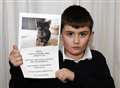 Boy, 10, devastated by puppy theft