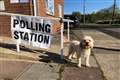 In Pictures: Masks and sanitiser for polling day, but no-one’s told the dogs