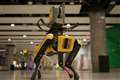 Heathrow Airport employs Dave the robot dog