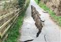 Collapsed footpath closed for another two years