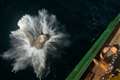 Hugh Fearnley-Whittingstall puts name to boulder helping protect marine reserve