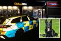 Police dog sniffs out suspected burglar in bookmakers