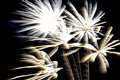 Fireworks used as signal for drugs ‘being dropped’ – MP