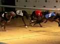 Footage of live greyhound race