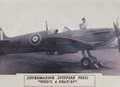 Chance discovery of crashed Spitfire buried in garden 