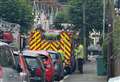 Fire crews called after seagull gets stuck in chimney