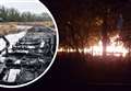 'Devastating' arson attack at popular wetland