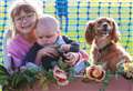 Thousands of waggy tails at one of country’s biggest dog shows