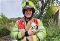 Residents evacuated and dog saved in fire drama at block of flats