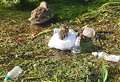 Shocking picture shows duckling sleeping on plastic bag in river