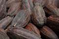 Cocoa prices soar ahead of Easter as ‘impact of climate change and El Nino’ hit